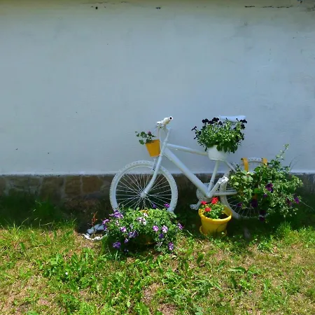 Valley Of Roses 3*